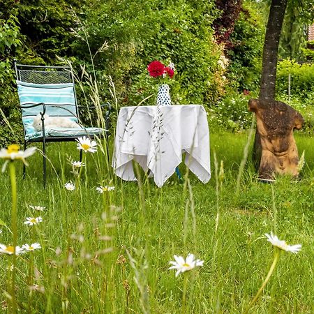 Gaestezimmer Cleo Uhldingen-Mühlhofen Extérieur photo